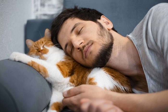 Vì sao mèo ngủ nhiều?